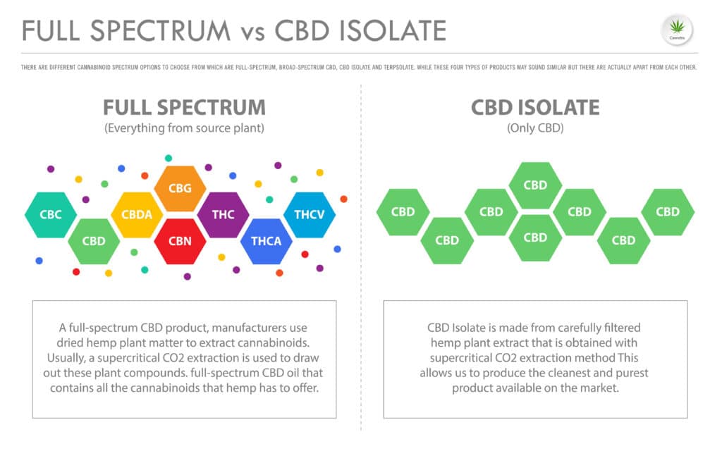 Different Types of CBD - Full Spectrum vs Isolate vs Broad Spectrum