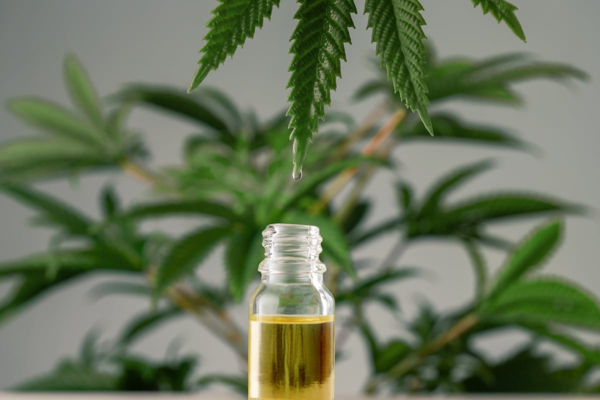 What is a THC:CBD ratio product?