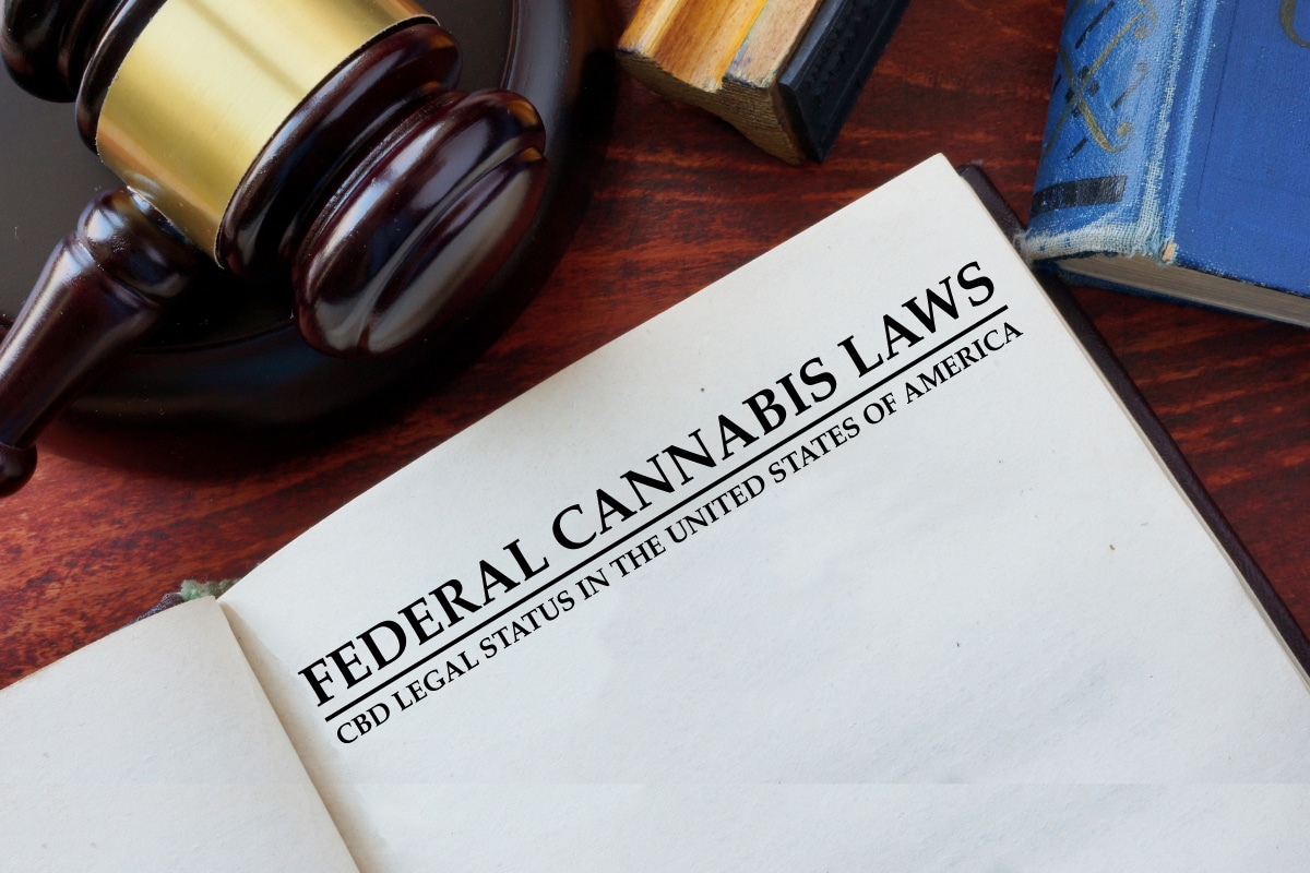 Federal hemp laws for adults 18 and older