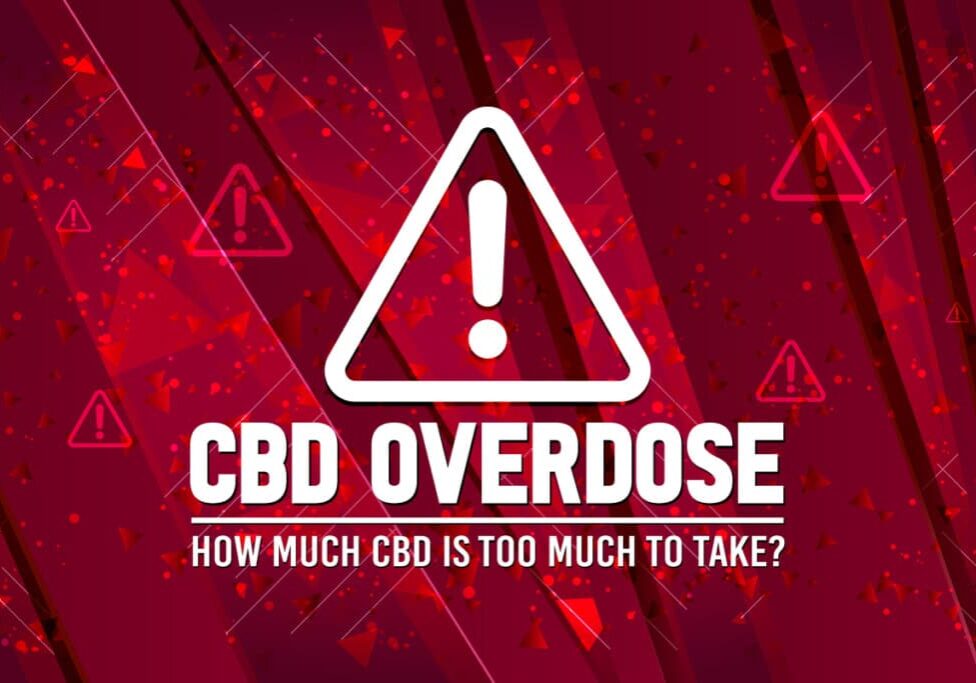 CBD Overdose: How Much Is Too Much?