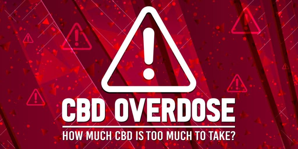 Can You Overdose On CBD? How Much Is Too Much To Take?