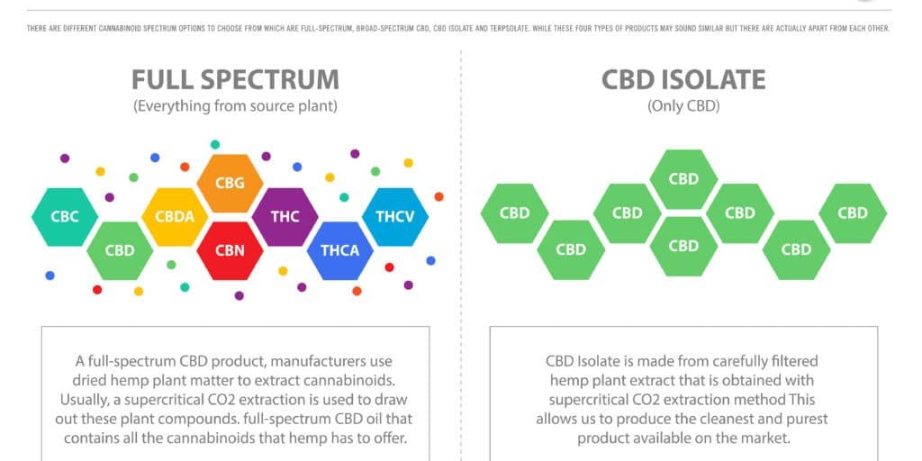 Different Types of CBD - Full Spectrum vs Isolate vs Broad Spectrum