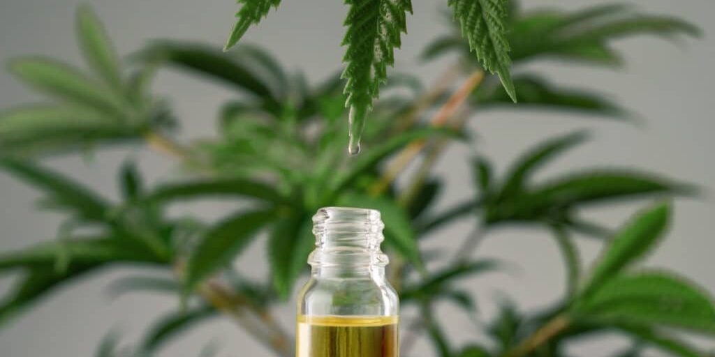 Is CBD legal in Australia? Stay Out of Trouble w/ This Buyers Guide