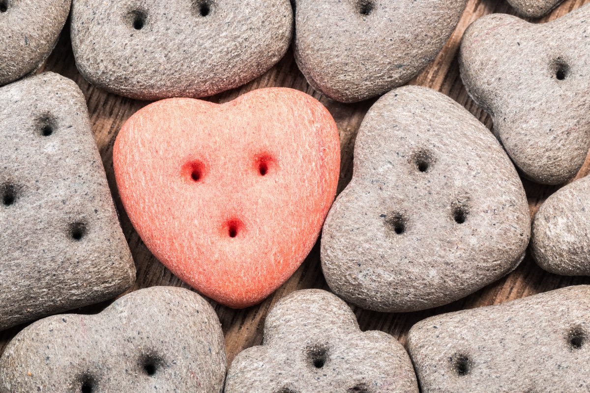 CBD Dosage Chart How Much CBD Should I Take?