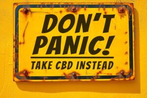 CBD for Panic Attacks Safety & Dosage Guide For First-Time Users