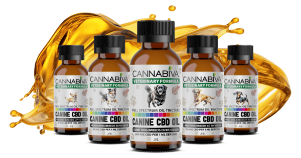 Full Spectrum CBD Oil for Dogs Lab Tests Full Spectrum CBD Oil for Dogs Lab Tests
