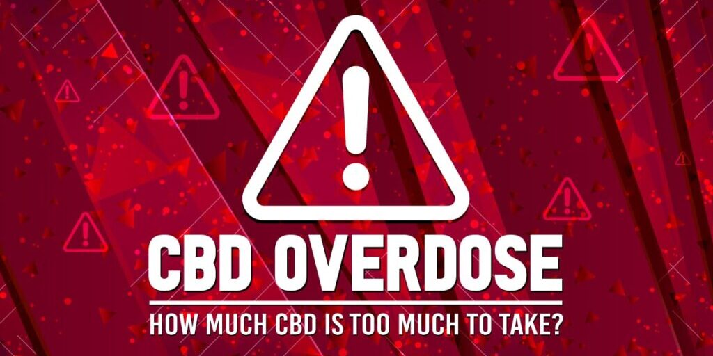 Can You Overdose On CBD? How Much Is Too Much To Take? Can You Overdose On CBD? How Much Is Too Much To Take?