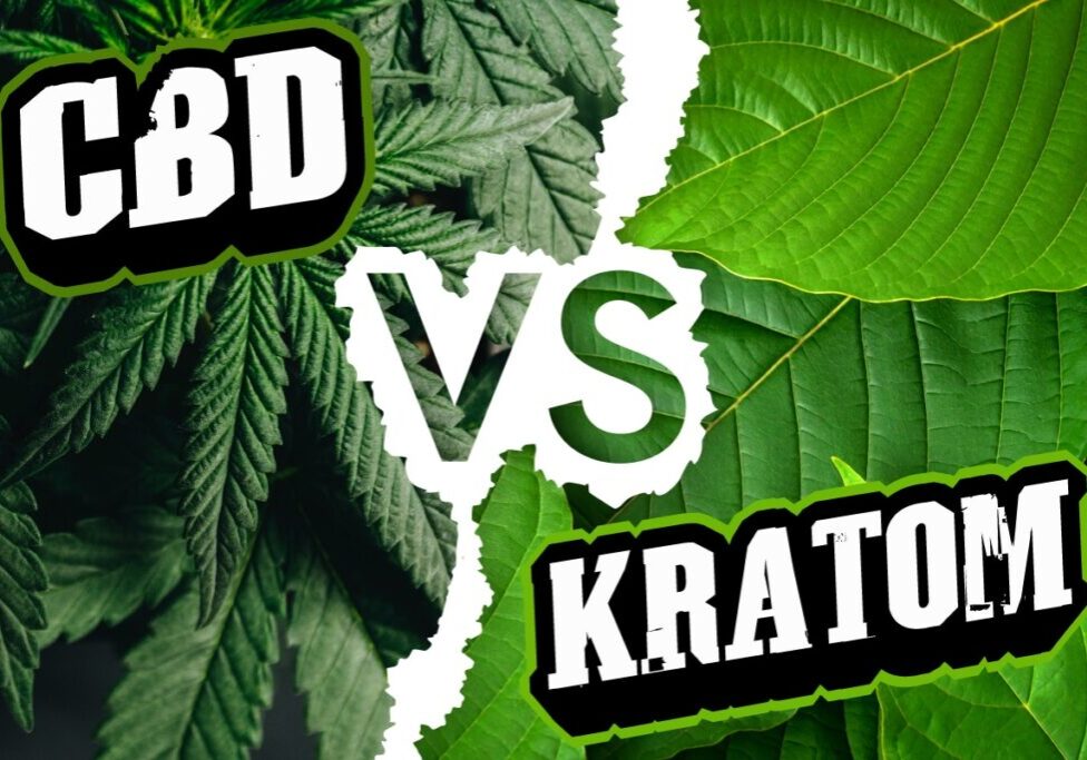 CBD vs Kratom: Two Titans of Natural Medicine Go Head-to-Head CBD vs Kratom: Two Titans of Natural Medicine Go Head-to-Head
